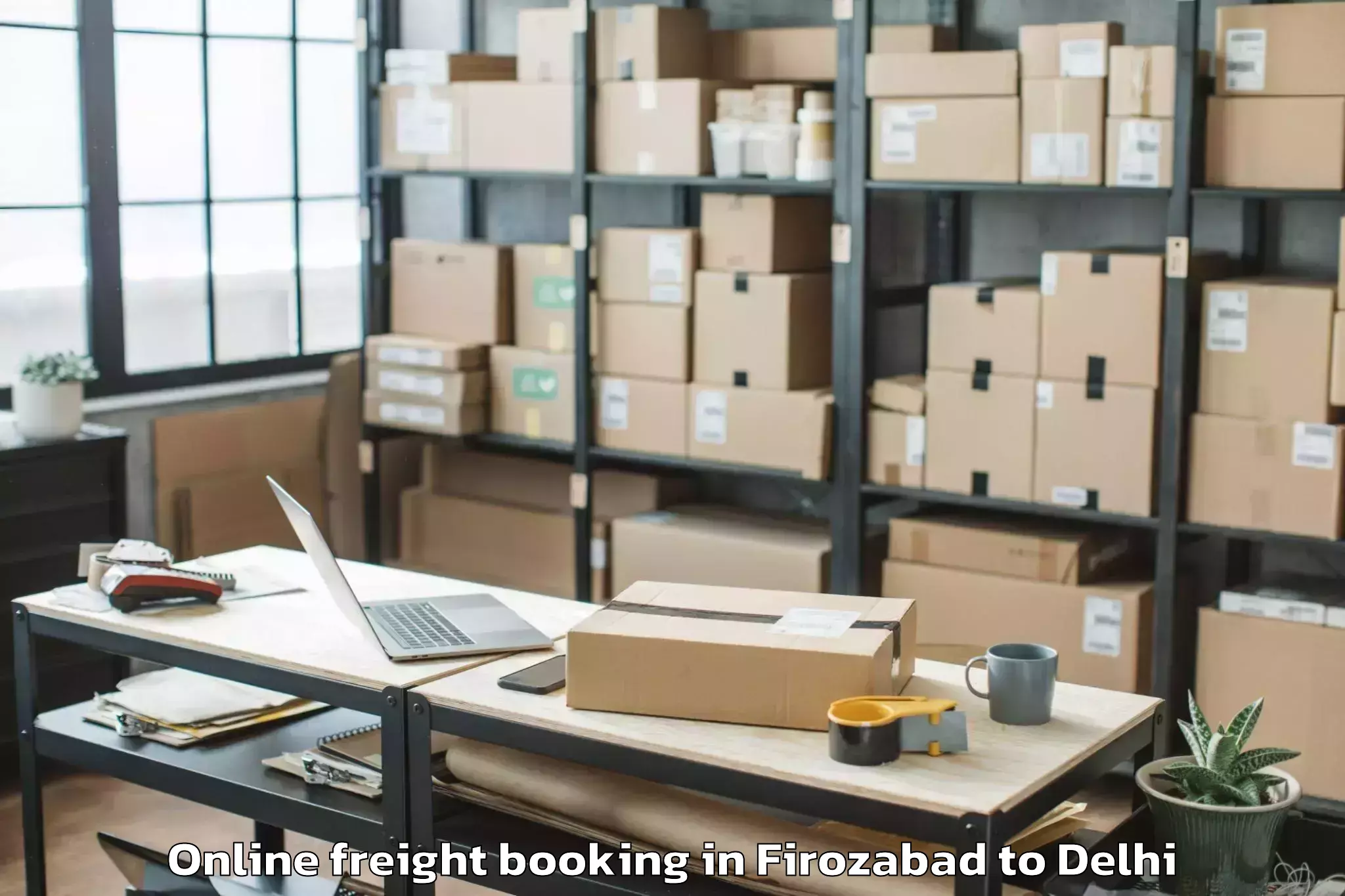 Top Firozabad to V3s East Centre Mall Online Freight Booking Available